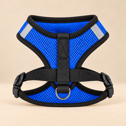 AirFit reflective pet harness blue on warm beige background