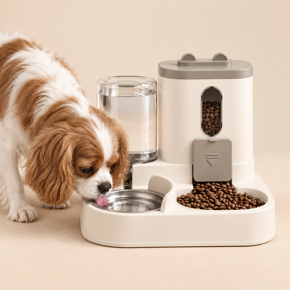 Dog drinking from Rex Automatic Pet Feeder Fountain